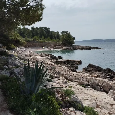 Apartman Ciga