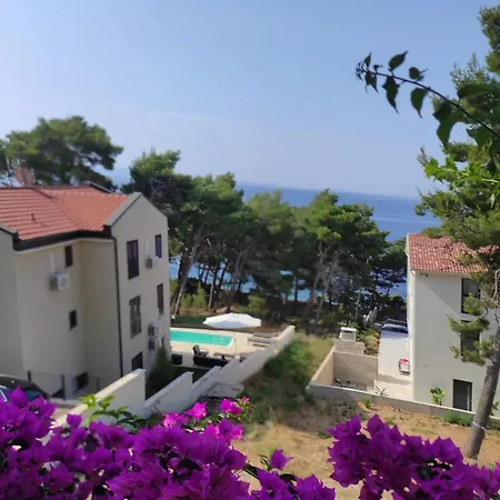 Ciga Apartman