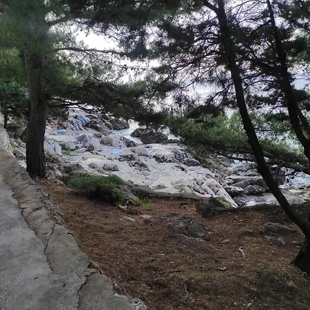 Ciga Apartman