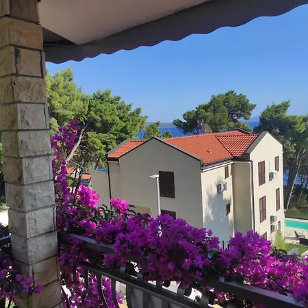 Apartman Ciga