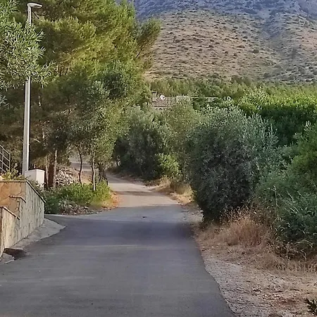 Ciga * Ivan Dolac